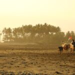 Photo Beach sunset