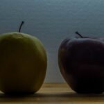 Photo The Difference Between Organic SEO and Paid Media Campaigns