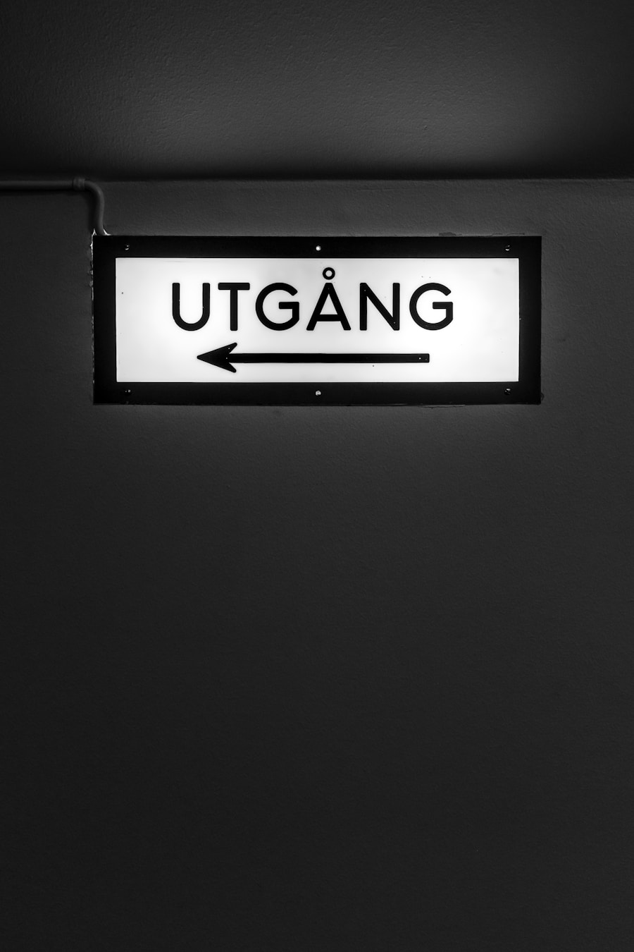 UGC Agency USA: Elevating Brands with Authentic Content