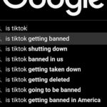 Photo Search results